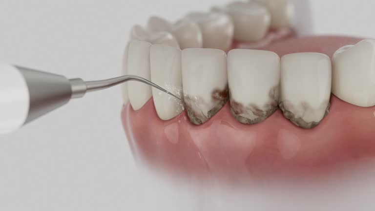 Reliable Dental contractor in Lincoln Park, CO by Dentist Open Now